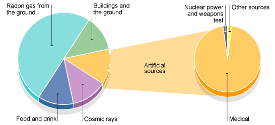 50% radon gas from the ground, 12%  buildings and the ground, 12% food and drink, 12% cosmic rays, 14% artificial sources - mainly cosmic rays, small amount of nuclear power and weapons test
