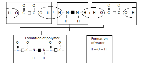 Nylon Reaction Step 2