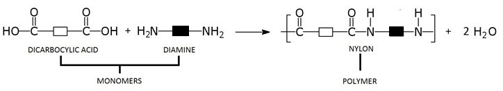 Nylon Reaction Equation