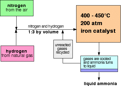 Ammonia Production